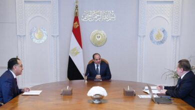 السيسي