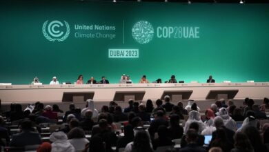 cop28