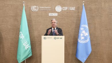 COP28