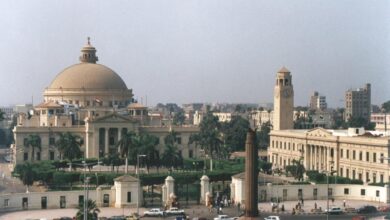 الجامعات المصرية